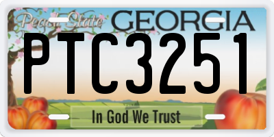 GA license plate PTC3251