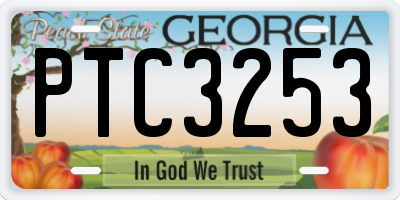 GA license plate PTC3253