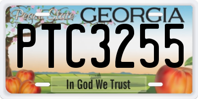 GA license plate PTC3255