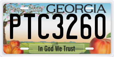 GA license plate PTC3260