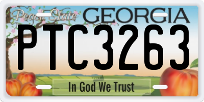 GA license plate PTC3263