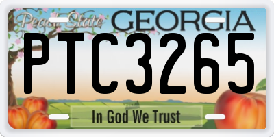 GA license plate PTC3265