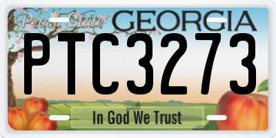 GA license plate PTC3273