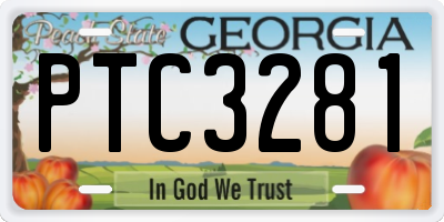 GA license plate PTC3281