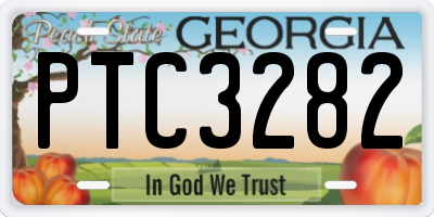 GA license plate PTC3282