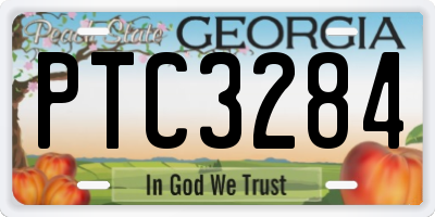 GA license plate PTC3284