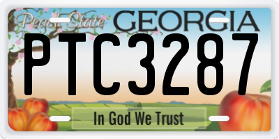GA license plate PTC3287