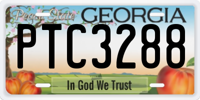 GA license plate PTC3288