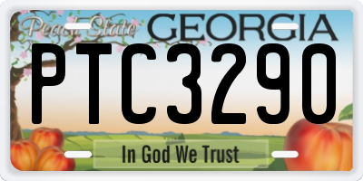 GA license plate PTC3290