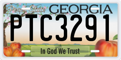 GA license plate PTC3291