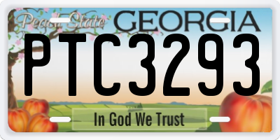 GA license plate PTC3293