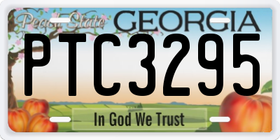 GA license plate PTC3295