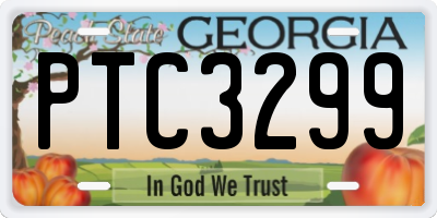 GA license plate PTC3299