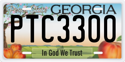 GA license plate PTC3300