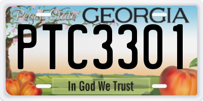 GA license plate PTC3301