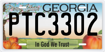 GA license plate PTC3302