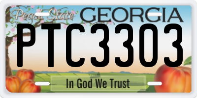 GA license plate PTC3303