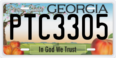 GA license plate PTC3305