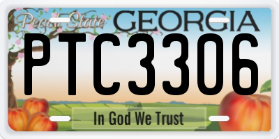 GA license plate PTC3306