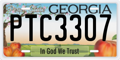 GA license plate PTC3307