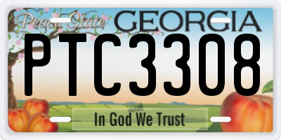 GA license plate PTC3308