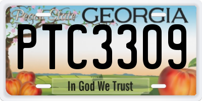 GA license plate PTC3309