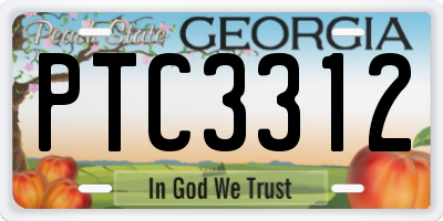 GA license plate PTC3312