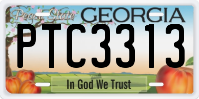GA license plate PTC3313