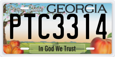 GA license plate PTC3314