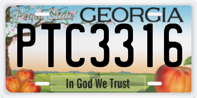 GA license plate PTC3316