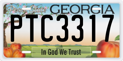 GA license plate PTC3317