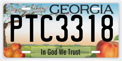GA license plate PTC3318