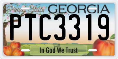 GA license plate PTC3319