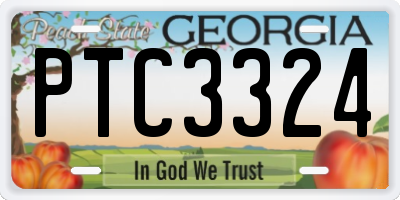 GA license plate PTC3324