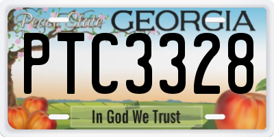 GA license plate PTC3328