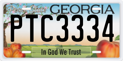 GA license plate PTC3334
