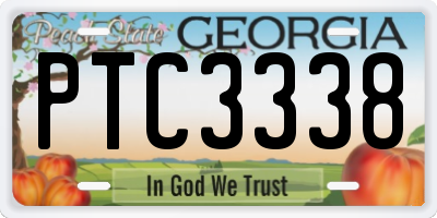 GA license plate PTC3338