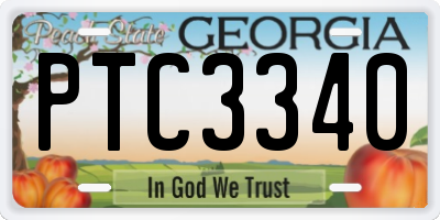 GA license plate PTC3340