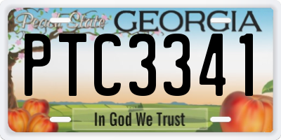 GA license plate PTC3341