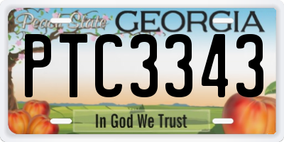 GA license plate PTC3343