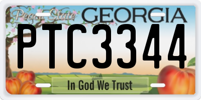 GA license plate PTC3344