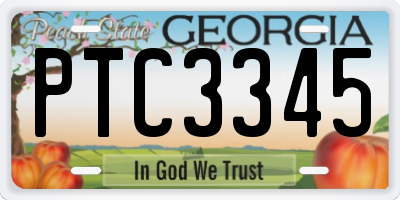 GA license plate PTC3345