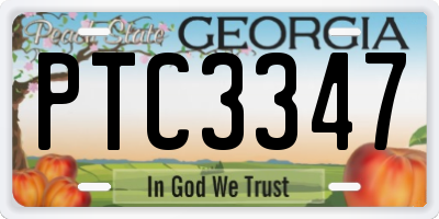 GA license plate PTC3347