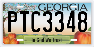 GA license plate PTC3348