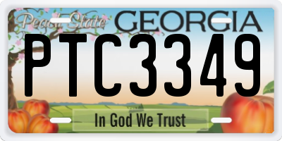GA license plate PTC3349