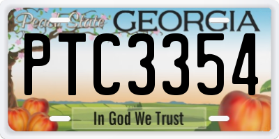 GA license plate PTC3354