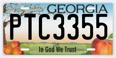 GA license plate PTC3355