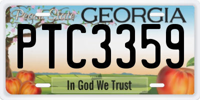 GA license plate PTC3359