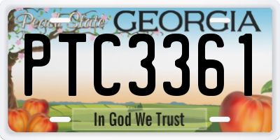 GA license plate PTC3361