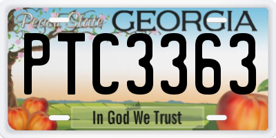 GA license plate PTC3363